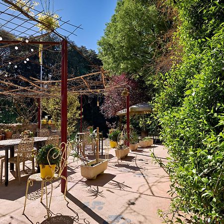 B&B Mas Torrencito Pet Friendly Parets de Ampurdá Exterior photo