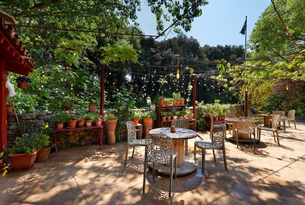 B&B Mas Torrencito Pet Friendly Parets de Ampurdá Exterior photo