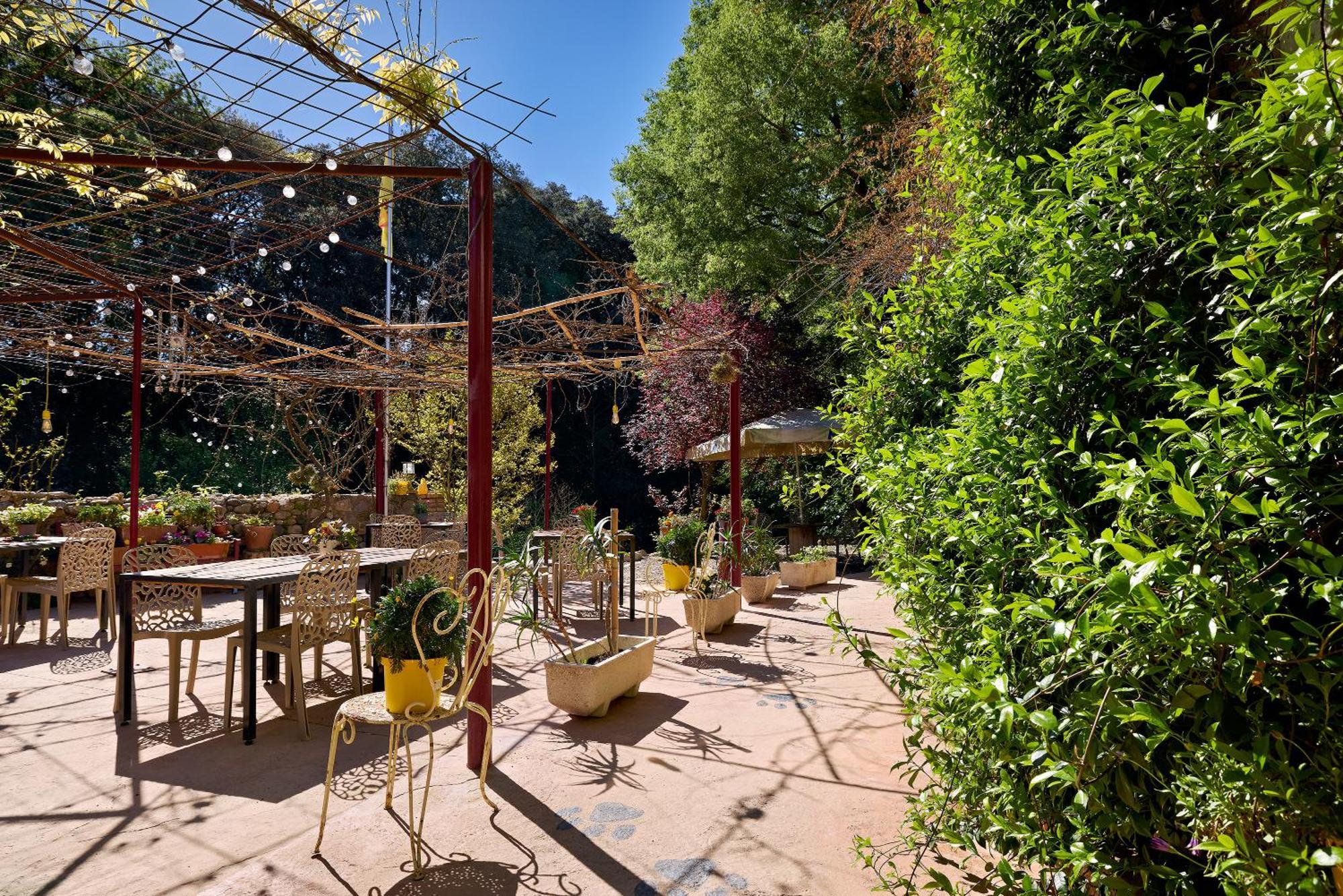 B&B Mas Torrencito Pet Friendly Parets de Ampurdá Exterior photo